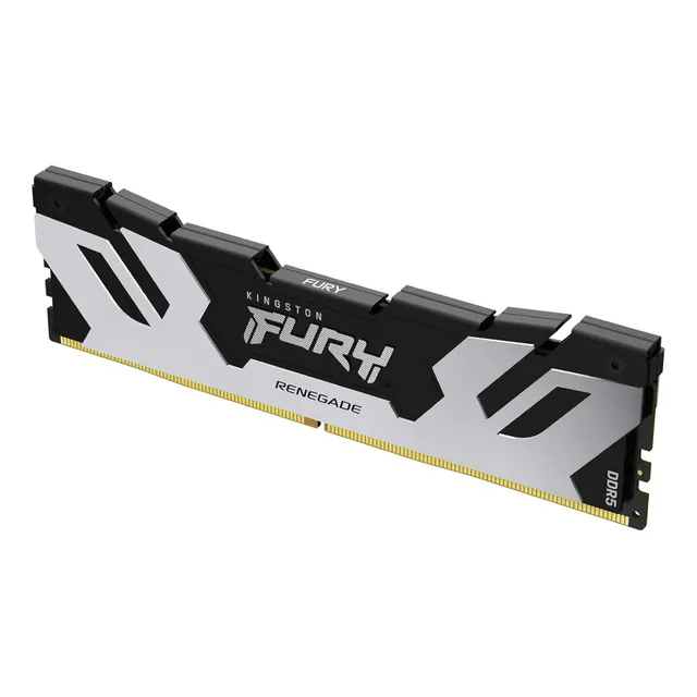 Memoria RAM Fury Renegade gamer color gris 48GB 1X48GB Kingston Fury KF560C32RS-48