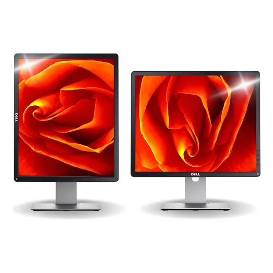 Monitor Dell 19 Polegadas Led Preto Vga Dvi Tela Giratória  