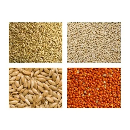 Paquete: 3k Avena P/pajaro, 3k Mijo Bco, 3 Rjo