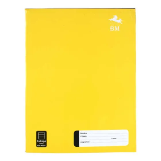Pack 8 Cuadernos College Lineas 100 Hojas