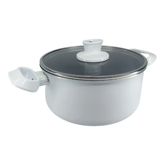 Olla T-fal /24cm / Tapa De Vidrio /tfa-d0794682