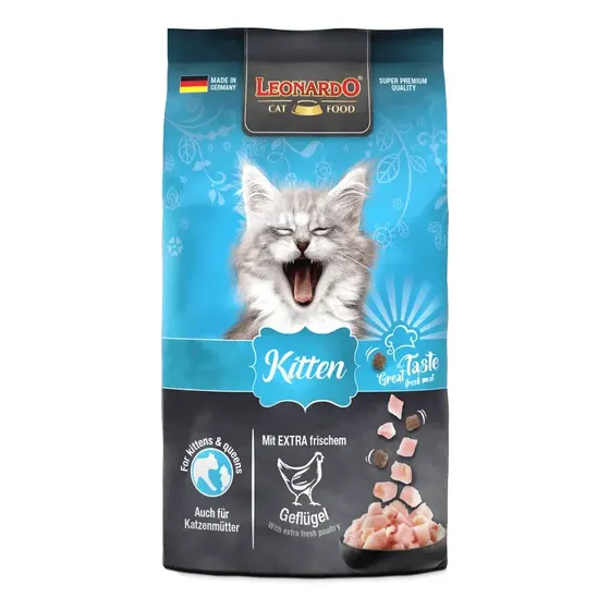 Leonardo Kitten 1,8 Kg | Cuotas sin interés