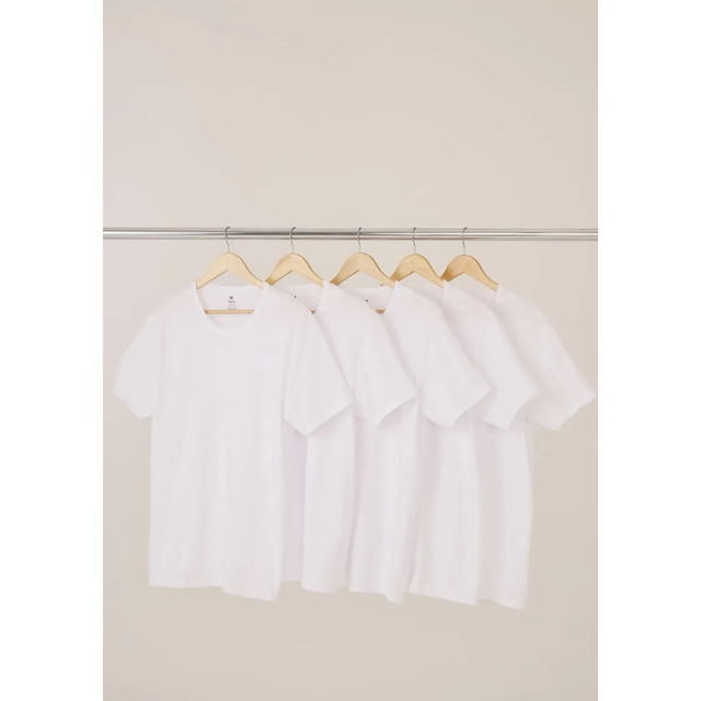 Kit 5 Camisetas Hering Basica Masculina Algodão Original Kit 5 Camisetas Hering Basica Masculina Algodão Original