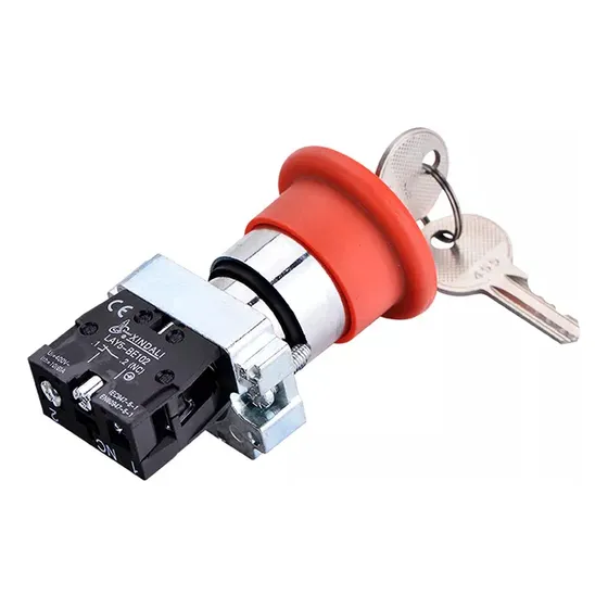 Interruptor Con Llave Unipolar Embutir Boton Electroimporta