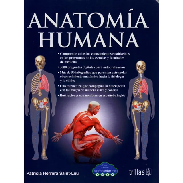 Anatomía Humana