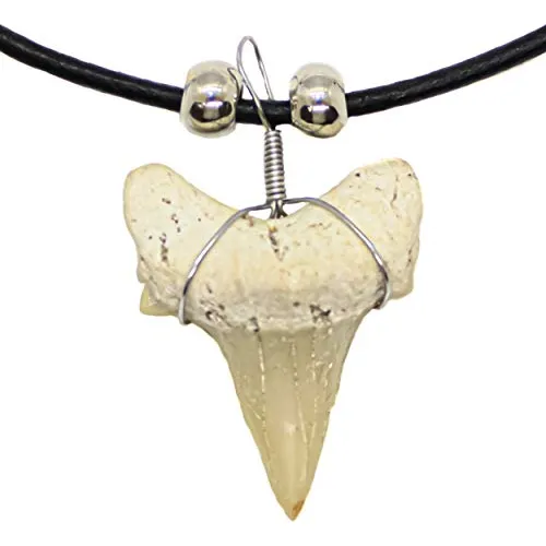Collar De Dientes De Tiburón Reales Hombres, Niños, A...