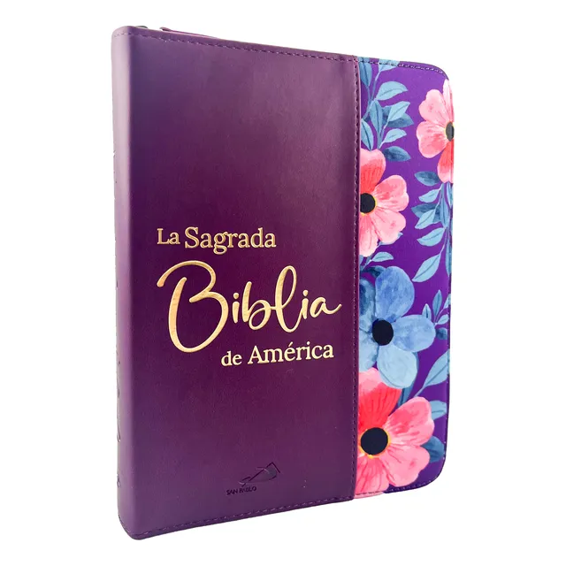 Biblia Escolar Lindos Modelos Con Estuche