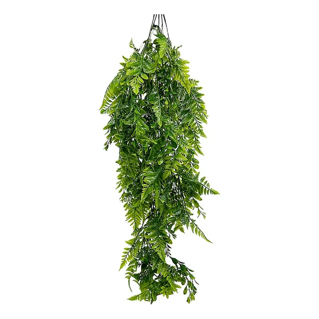 Planta Colgante Helecho Con Hojas