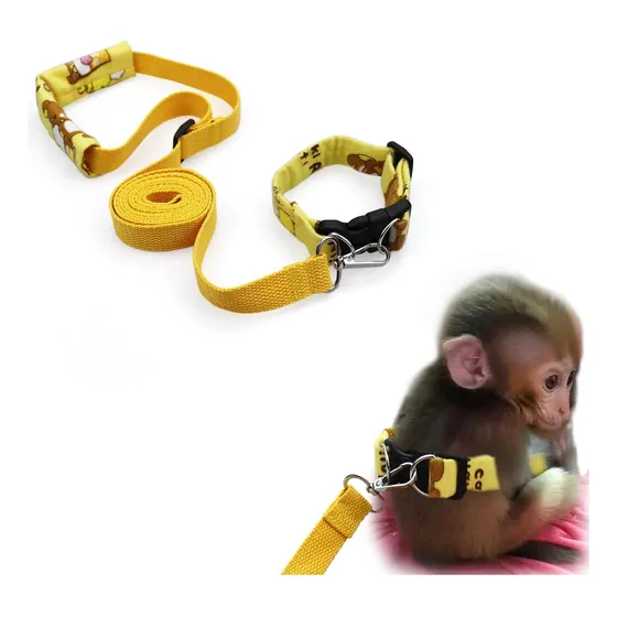 Faixas De Barriga E Trela Correspondente Para Macacos Saguis