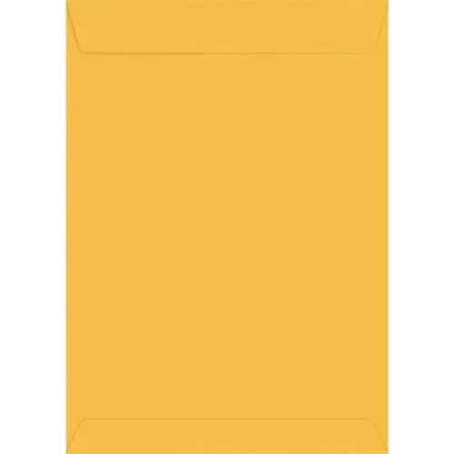 Envelope Saco Kraft Ouro 18x25 80 Grs Pacte C/100 