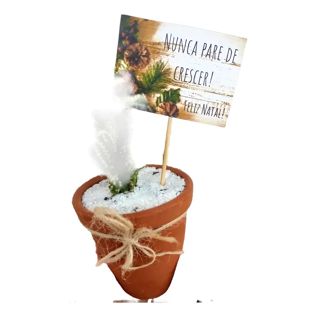 Plantas Mini Suculentas Recuerdos De Matrimonios, Bautizos 