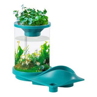 Pecera Betta Pequeña Tanque Acuapónico Pequeño Pecera Silenc Pecera Betta Pequeña Tanque Acuapónico Pequeño Pecera Silenc