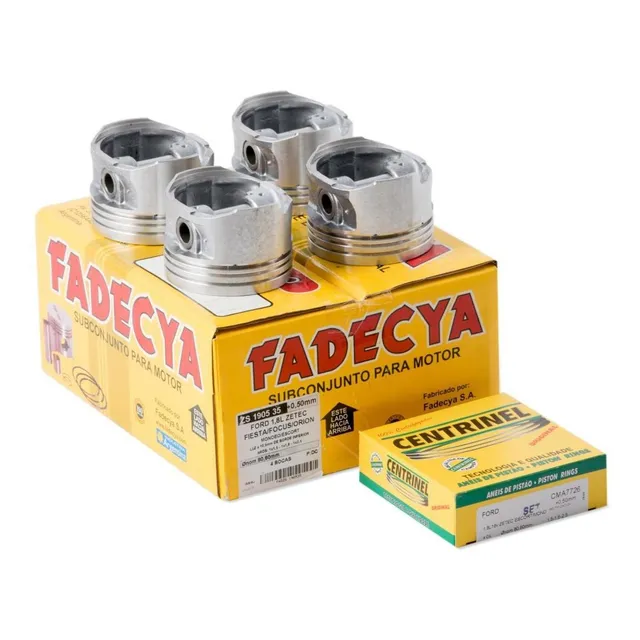 Subconjunto Ford Escort 1.8 16v Nafta Motor Zetec