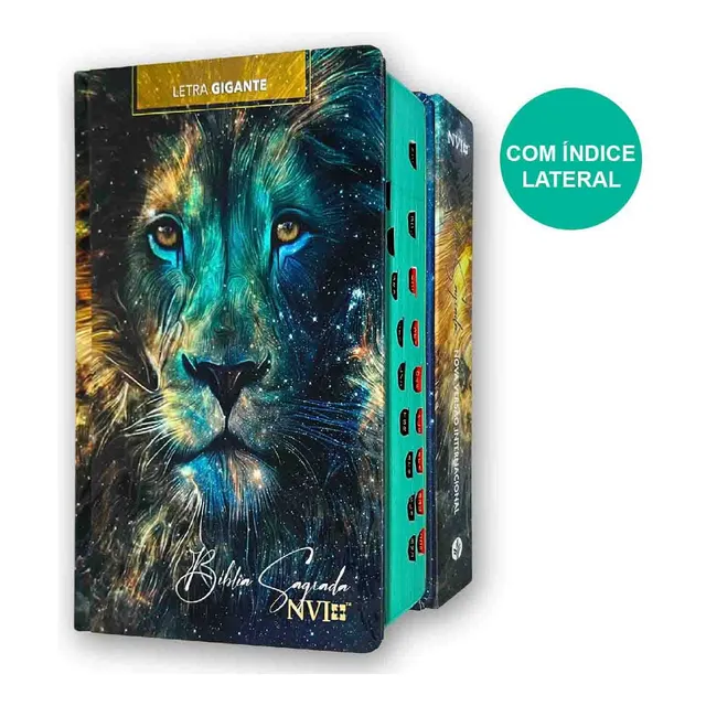 Bíblia Jovem Nvi Letra Grande Índice Capa Dura Leão Estrelas