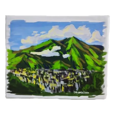 Cuadro Decorativo Ávila Caracas 25x20cm