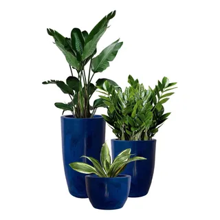 Kit 3 Vasos Liso Estilo Vietnamita Para Plantas E Decoração Kit 3 Vasos Liso Estilo Vietnamita Para Plantas E Decoração