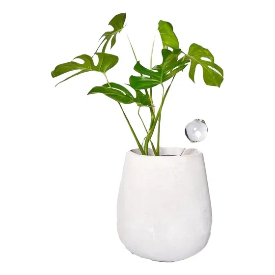 Riego Goteo Automático Gota Chica De Vidrio Plantas Macetas