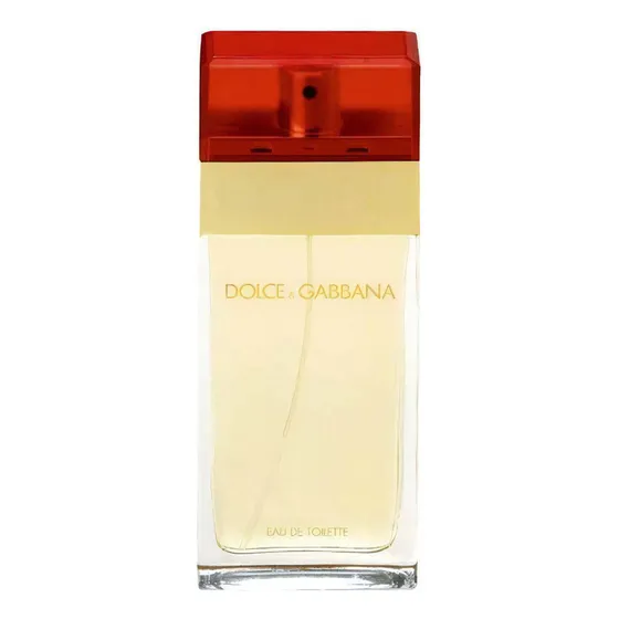Pour Femme Perfume Feminino Dolce & Gabbana Edt 100ml
