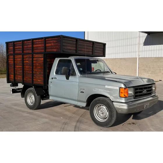 Ford F-100 3.6