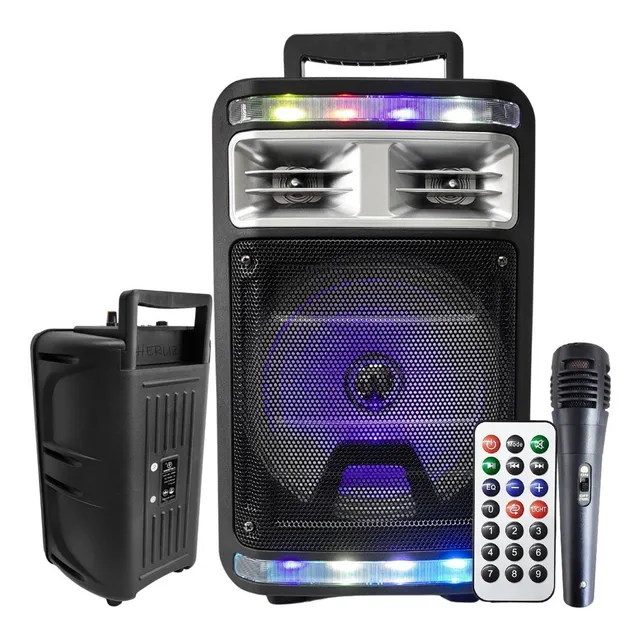 Caixa De Som Para Festa Pequena Led Grande Potencia 1000w