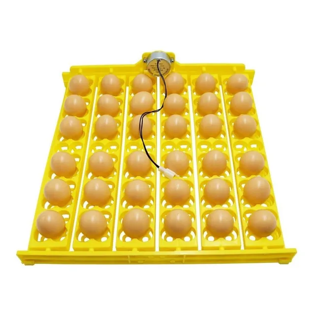 Bandeja Eléctrica Para 36 Tipos De Huevos Pato Gallina 110v