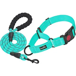 Collar De Adiestramiento Para Perros Con Hebilla De Liberaci Collar De Adiestramiento Para Perros Con Hebilla De Liberaci
