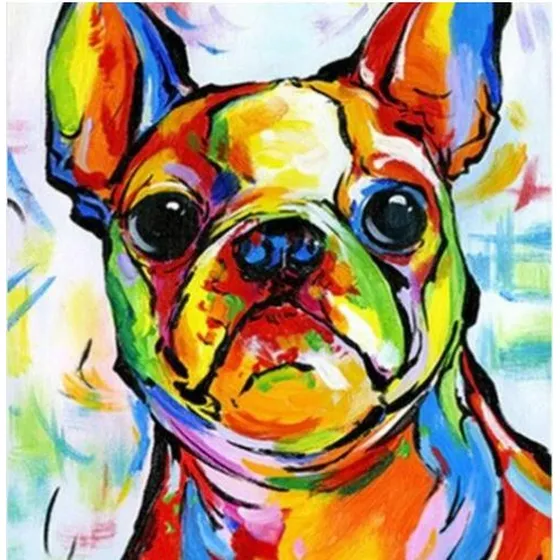 Pintura Por Números Con Bastidor Perro Bulldog Francés 20x20