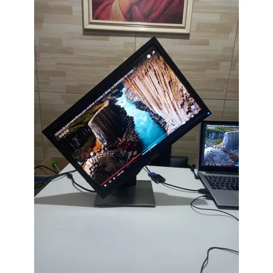 Monitor Dell 19 Polegadas Vga E Dvi Pedestal Giratório!!