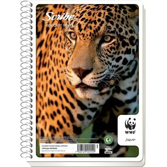 Cuaderno For.francesa Cuadro Grande 10 Piezas