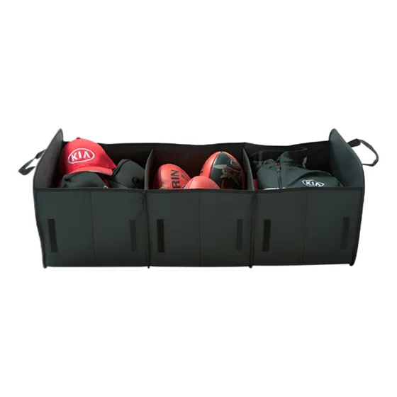 Organizador Automovil Kia