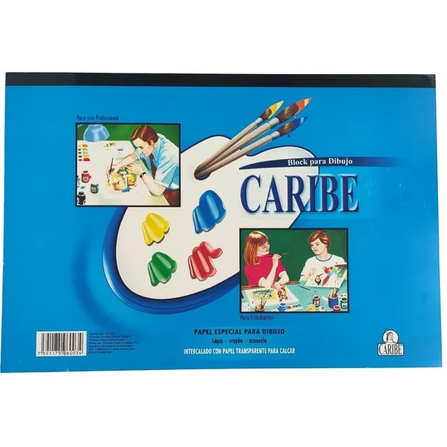 Block Dibujo Encolado Caribe 66196 D Gde 48 X 32,5 Cm