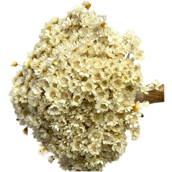 Buque Arranjo Flores Artificiais Sintéticas Realistas Secas Cor Branco