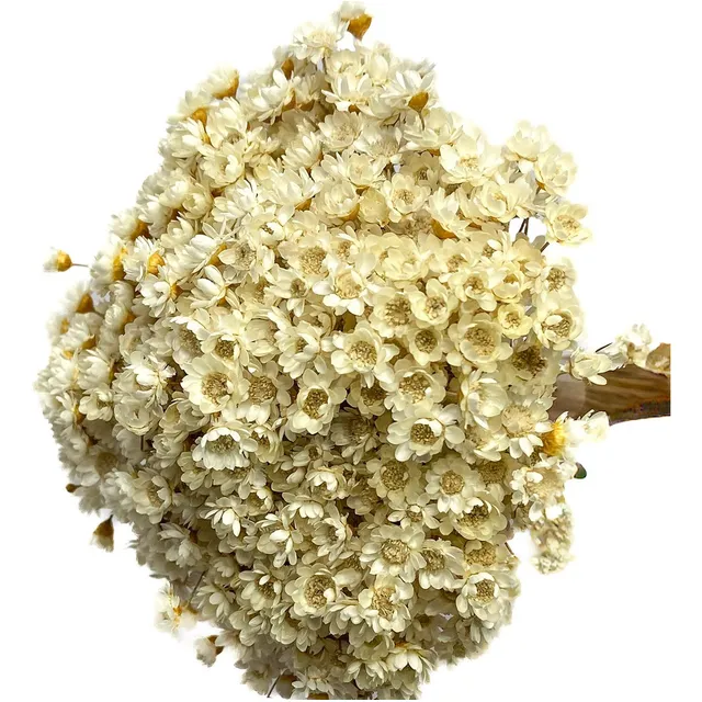 Buque Arranjo Flores Artificiais Sintéticas Realistas Secas Cor Branco