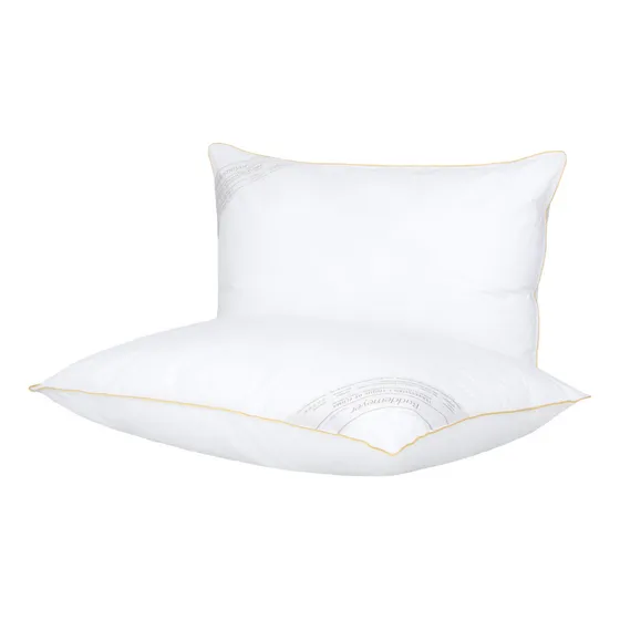 Kit Travesseiro 50x70cm Buddemeyer Toque de Pluma Algodão Branco 2 peças