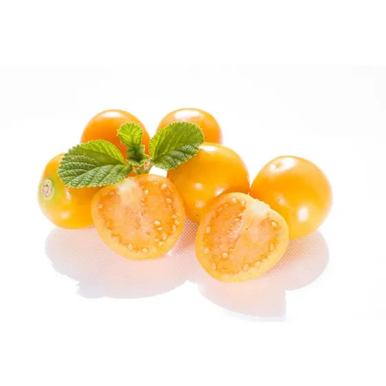 Planta De Uchuvas   Golden Berrys Cons. Envios!!