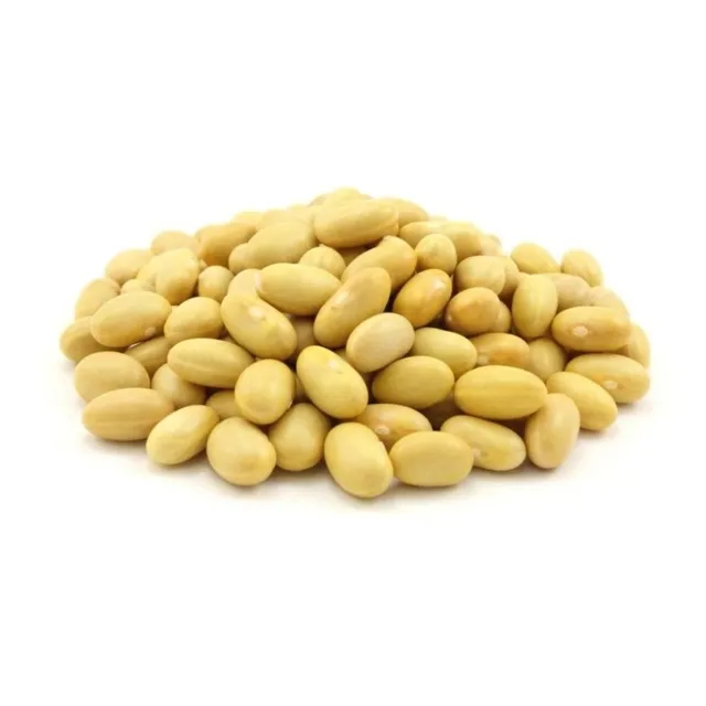 Frijol Canario - Poroto Azufre - Proteína Vegetal - 5 Kg