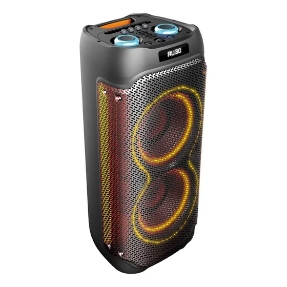Parlante Xion Xtreme Xt1100 Microfono Bluetooth Fm Dimm