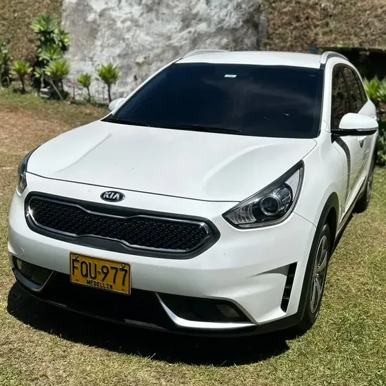 Kia Niro Hibrido 2019 1.6 Hev Vibrant At