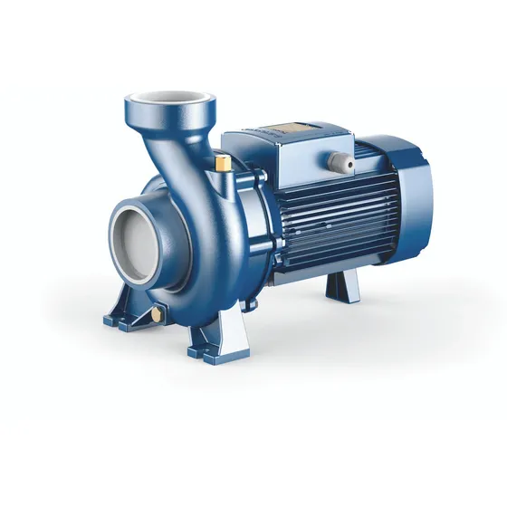 Bomba Centrifuga Altos Caudales Marca Pedrollo  Hf20b  Trifásica