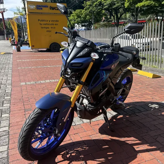Yamaha Mt 15 2027 Con 685 Kms