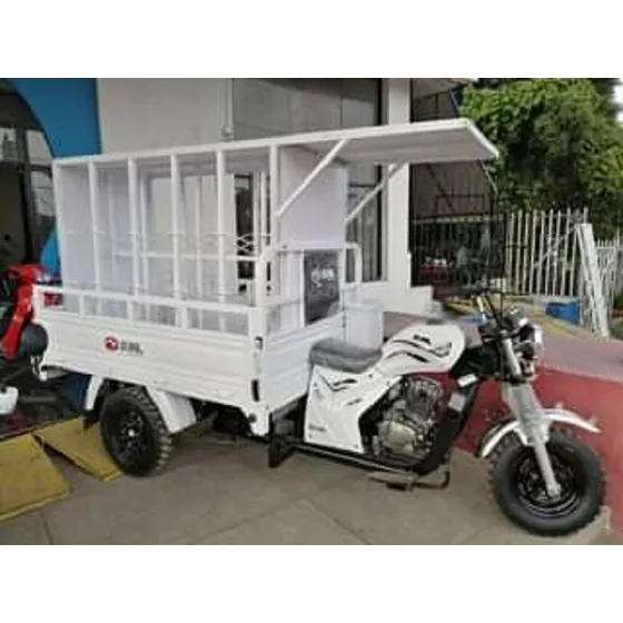 Motocarro 200cc Carga Garrafonero Nuevo Con Toldo 2024