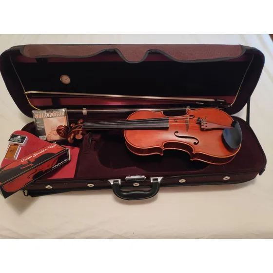 Violín 4/4 Profesional Con Todos Sus Accesorios