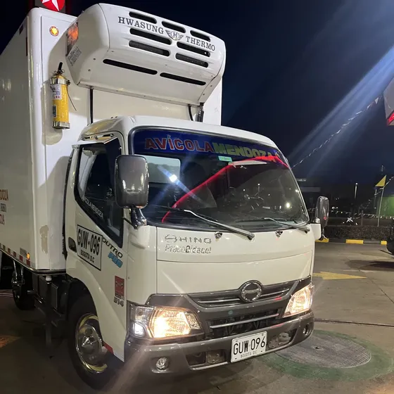 Hino Dutro Pro 300