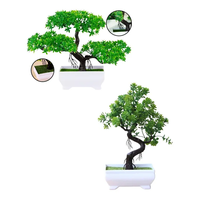 Kit 2 Bonsai Nuvem E Fortuna Mini Árvore C/ Vaso Realista
