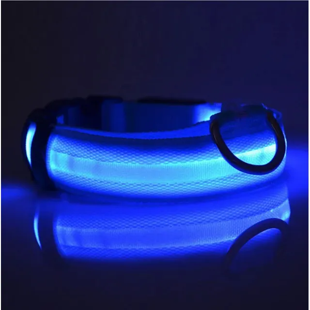Collares Led Luminosos Recargable Para Mascotas Perro Gato
