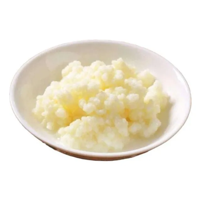 Kéfir-bascilos Búlgaros. Kumis,queso Crema,yogurt. Saludable