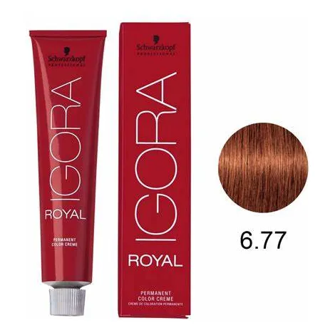 Igora Royal Tinte 1 Pieza