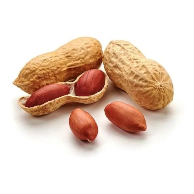 Amendoim Crú Com Casca - 1 Kg