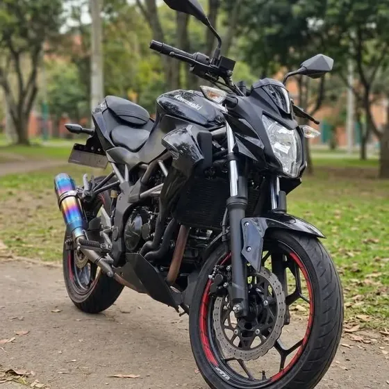 Kawasaki Z250sl 2017  41.000 Km  Excelente Estado