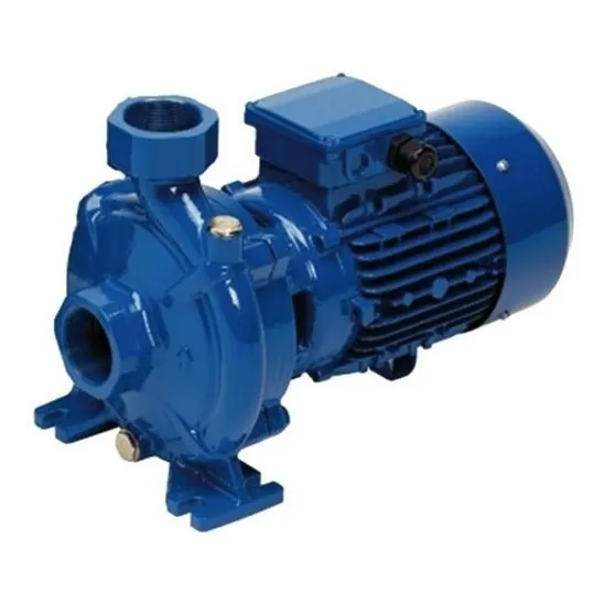 Bomba Centrifuga Gran Caudal Reggio Cf 150 1.5hp 2x2 380v